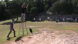Scope Cover Drop Test