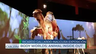 Inauguran en SLP la exposici&oacute;n internacional Body Worlds: Animal Inside Out