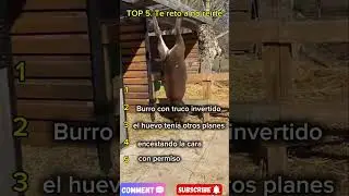 TOP 5. te reto a no re&iacute;rte #shorts #shortvideo #youtubemexico #youtubeshorts #youtubemexico #top