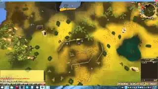 Random Video (RuneScape)