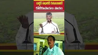 కోటిరూపాయలు సాయం ప్రకటించిన సీఎం | Doctor Sudhakar in YSRCP Government