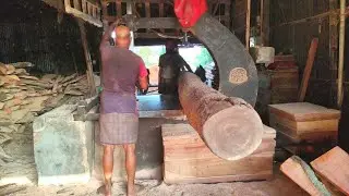 Most Satisfying Factory Wood Sawmill Machines In Bangladesh   Sawmill Woodworking    AroundBD People