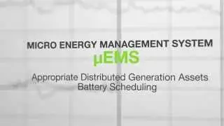 Micro EMS - Planning Function