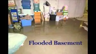 Basement Authorities - The Nitty Gritty