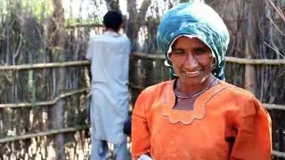 UN-HABITAT Pakistan Flood Intervention Sindh Pakistan