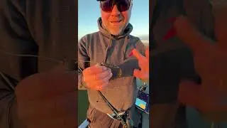Dirty Jigs Pivot Point Football Jig