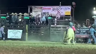 Ya ya&rsquo;s Battle Of The Bulls Champion 2020