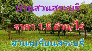 EP173.สวนทุเรียนสระบุรี  บ้านสวนสระบุรี ที่ดินติดเขา ที่ดินติดถนน  สนใจติดต่อ 0870987939-0887902134