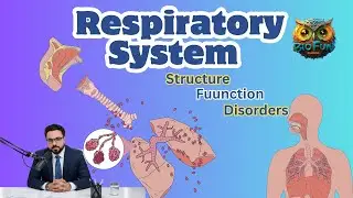 Respiratory system | The Oxygen Journey from Nose to Blood | Structure |Function | Disorders