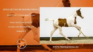 DOLLAR VAN DE BOORTOREN Z stap