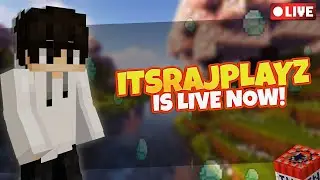 Join Now! Lifesteal Server LIVE ⚔️ | Chill Stream