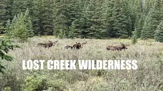 Lost Creek Wilderness, Colorado (08/07/25-08/09/25)