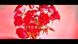 🎶💖8 Marca - Piosenka na Dzień Kobiet  Disco Polo! 💃✨