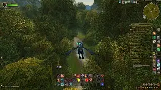 Disable skyriding (dragonriding) for flying mounts WoW
