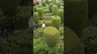 La abuela viajera en el laberinto de Los Cocos, inolvidable, comenta 👌🌿🤣🥰
