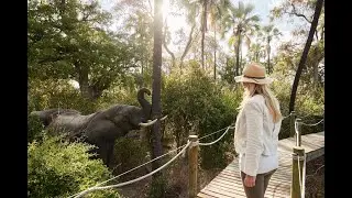 Victoria Falls River Lodge in 1 minute