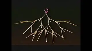 NOVA: Суд над неандертальцами (2002) | Были ли они людьми или кем-то ещё? 🧬🦴