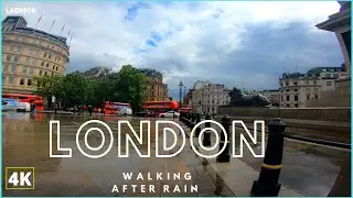 Trafalgar square to Buckingham Palace via The Mall, after rain | London Walking Tour