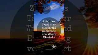 Zitat des Tages &uuml;ber Wissen und Erfahrung von Albert Einstein #shorts #zitate #alberteinstein
