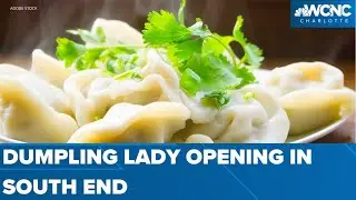 The Dumpling Lady opening South End shop
