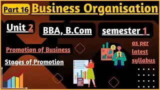Stages Of Promotion |Business Organisation Semester1|Unit 2 |part16