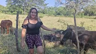 Nos fuimos a ver las vacas
