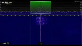 Radio Romania International / 11830 kHz - Shortwave Reception (Interval Signal + Weird Tx Crash)