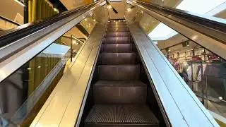 Venezia, Italy | Fiam Escalator | OVS Store 