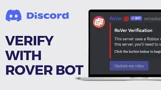 How To Verify With Rover Discord Bot (2024)