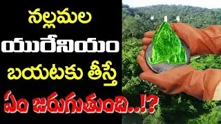 Uranium Mining Effects in Nallamala | Facts Behind The Mining | TopTeluguMedia