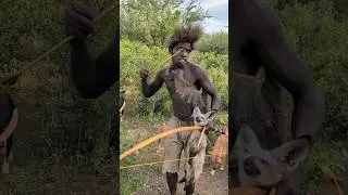 &ldquo;Focus, teamwork, and arrows &mdash; Hadzabe hunters catch a wildcat.&rdquo; #africa #culture #wildlife