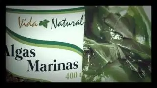Macroalgas
