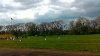 Дубровский конный завод