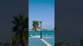 Abu Dhabi Corniche area #viral #viralvideo #foryou #everyone