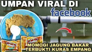 VIRAL DI FACEBOOK ... ‼️ UMPAN IKAN MAS PALING GACOR PENGURAS EMPANG HARIAN