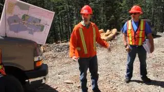 TimberWest cut block visit