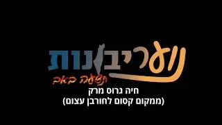 יום  תשעה באב | חיה גרוס מרק | ממקום קסום לחורבן עצום