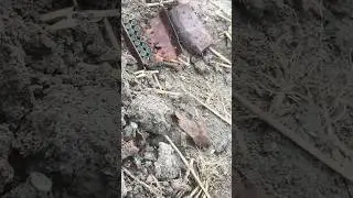 UNPACKING THE CAVE #metaldetecting #cop #shorts #youtube #unpacking #shorts #shortsfeed #short #coin