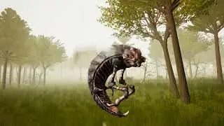 Forest Woodman (2020)