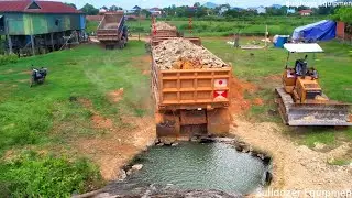 Cheerful A Starting Project! Skilled land Filling Low surface Use Shantui Dozer Mastery & 18ton Dump