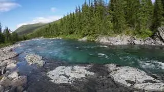 Бирюзовая вода, река Косью, 12.07.2025