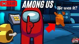 🔴AMONG US SUNDAY STREAM (NL)🔴