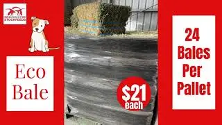 Lucerne Hay