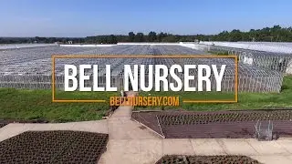 Behind the scenes at Bell Nursery