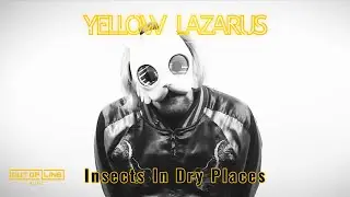 Yellow Lazarus - Insects In Dry Places (Official Music Video)