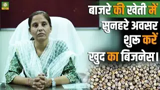 कम पानी, कम खर्च और बड़ा मुनाफा | Bajra Farming Success Story