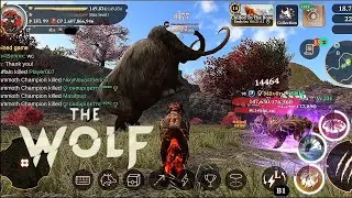 The wolf - Crazy big white mammoth champion in featured 8❗