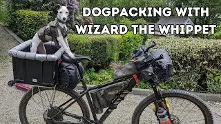 Dogpacking with Wizard.  The start of my bikepacking adventures with my dog.