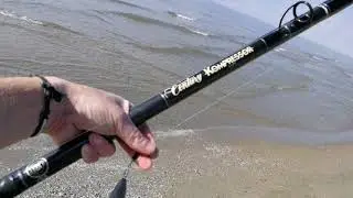 Canna in due pezzi Century kompressor lite in spiaggia - surfcasting -