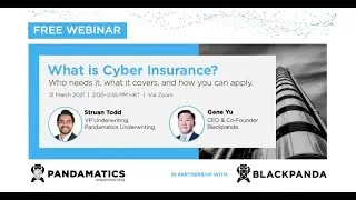 What is Cyber Insurance?